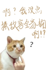啊？我没点揍敌客全家桶啊？小说